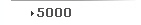 5000