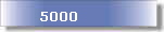 5000
